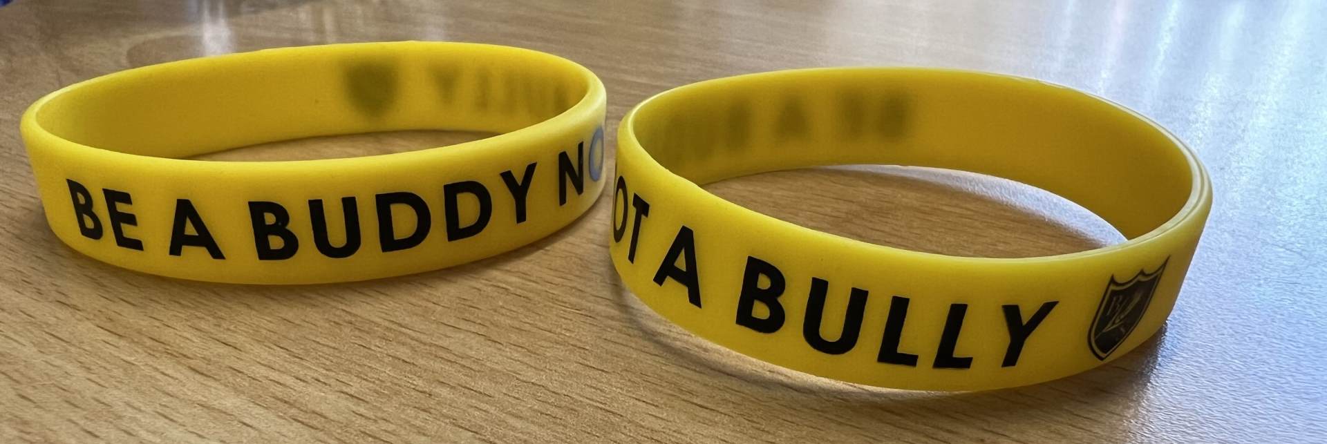 Anti-Bullying Wristbands